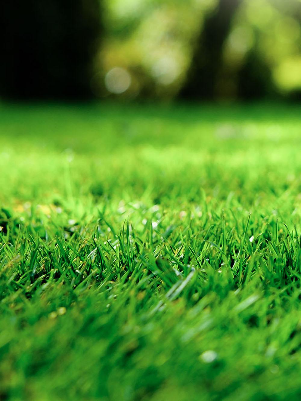 Choice Sun and Shade® Mix